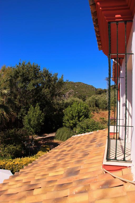 Hostal La Zamora Carcabuey المظهر الخارجي الصورة