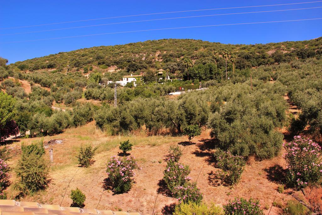 Hostal La Zamora Carcabuey المظهر الخارجي الصورة